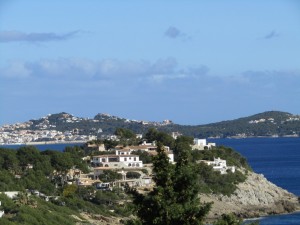 IMG_4450 (Medium)